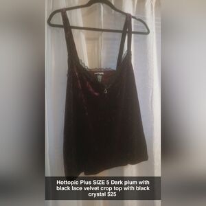 Hot Topic Velvet Crop Top with Lace Trim
